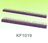 KF1019